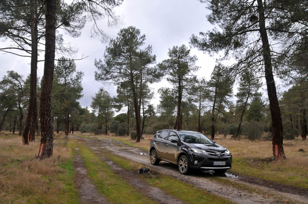 Ruta TRAIL. De Villacastín a Cuellar (Segovia). Por la campiña segoviana