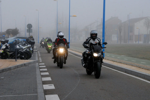 Pingüinos en la niebla