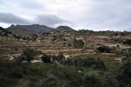 http://www.siempreruedasymotor.com/2016/11/ruta-trail-requena-y-el-pirineo-valenciano-requena-merece-la-pena/