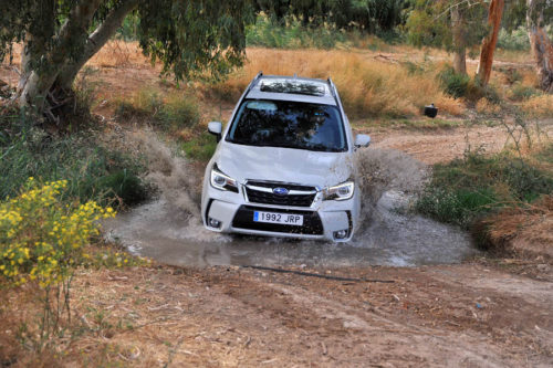 Ruta SUV Trail Subaru en Sevilla 042