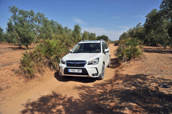 Ruta SUV Trail Subaru en Sevilla 089