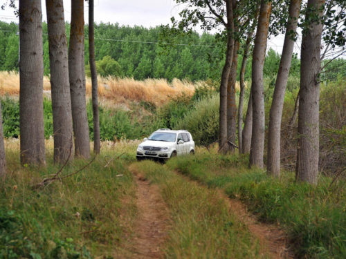 Ruta Trail Palencia