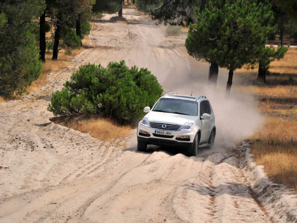 Ruta Trail. De Medina del Campo a Arévalo. Por tierra de pinares