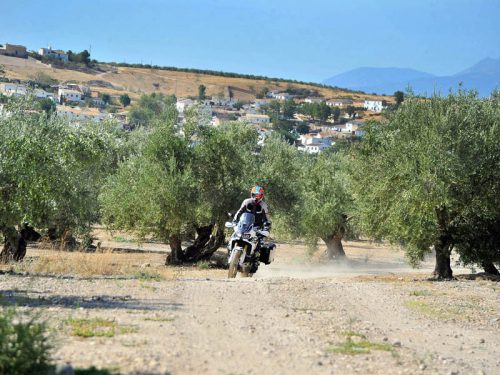 Ruta Trail Africa Twin