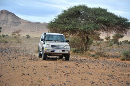 Preparacion Toyota Land Cruiser