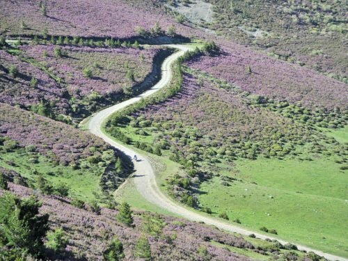 Ruta Trail La Rioja