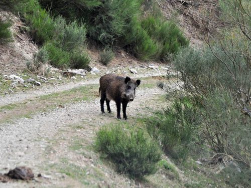 Ruta Trail La Rioja