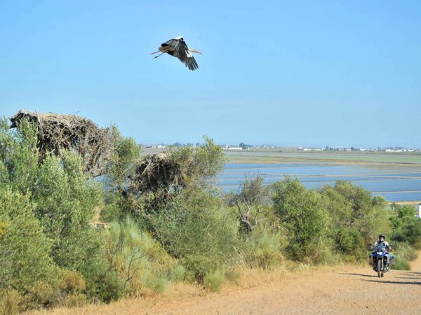 Ruta trail por Sevilla